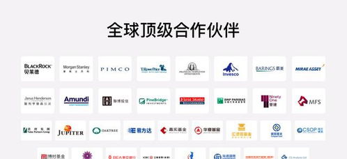 財(cái)富管理品牌全新升級(jí) 富途大象財(cái)富布局全球資產(chǎn)配置